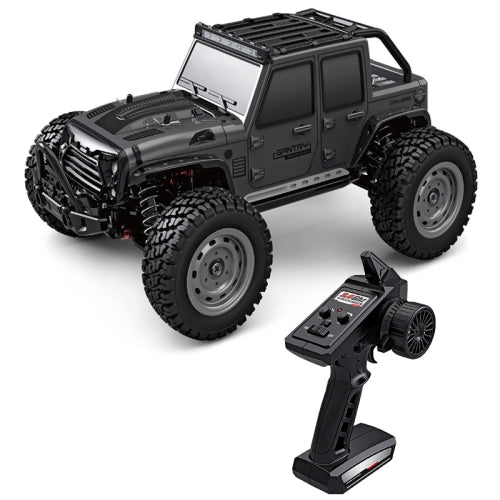 TOP RACING SERIES GANTRY 1/16 SCALE CROSS COUNTRY VEHICLE 4X4 FOUR -WHEEL DRIVE. 2.4G FULL SCALE FOUR WHEEL SCY16103