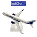 IndiGo ( 16 cm )